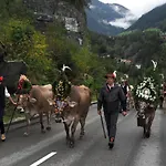 Widkal * Finkenberg